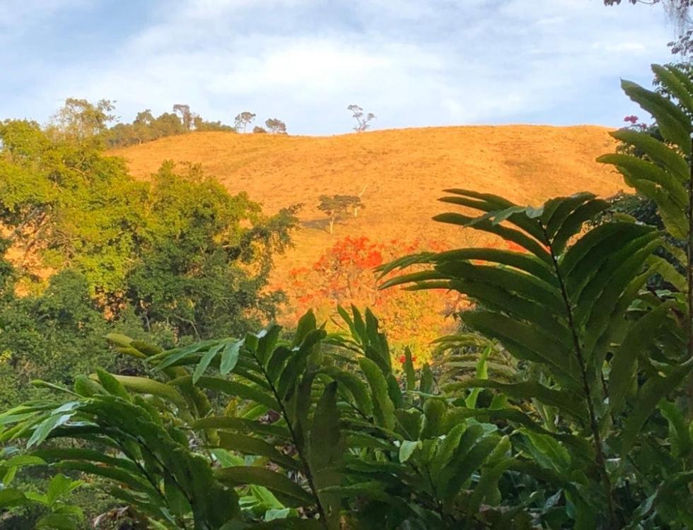Vivenda Dos Guaranys -Um Projeto Ecologico - Casa Villa Conservatória Екстериор снимка